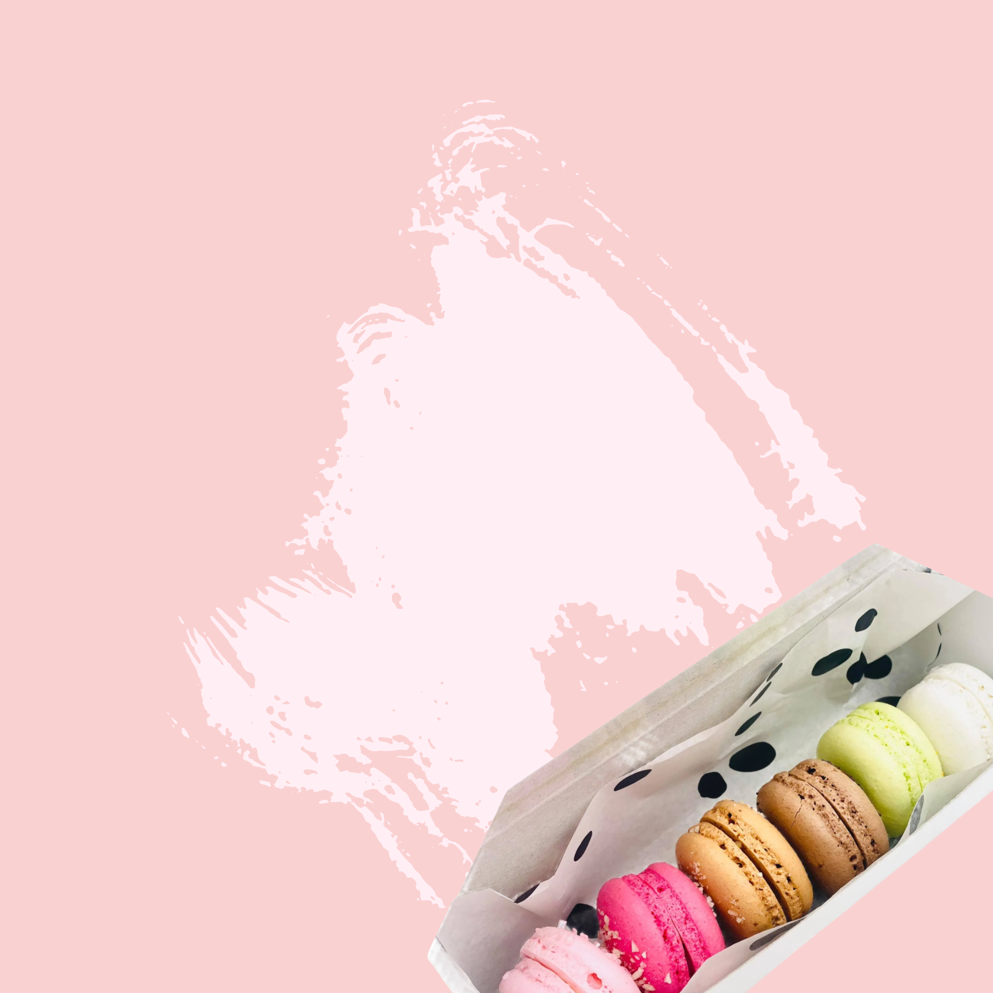 Macaroons