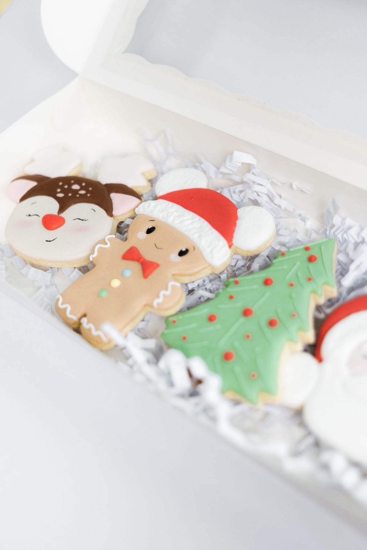 Christmas Cookie Box – 4 Cookies