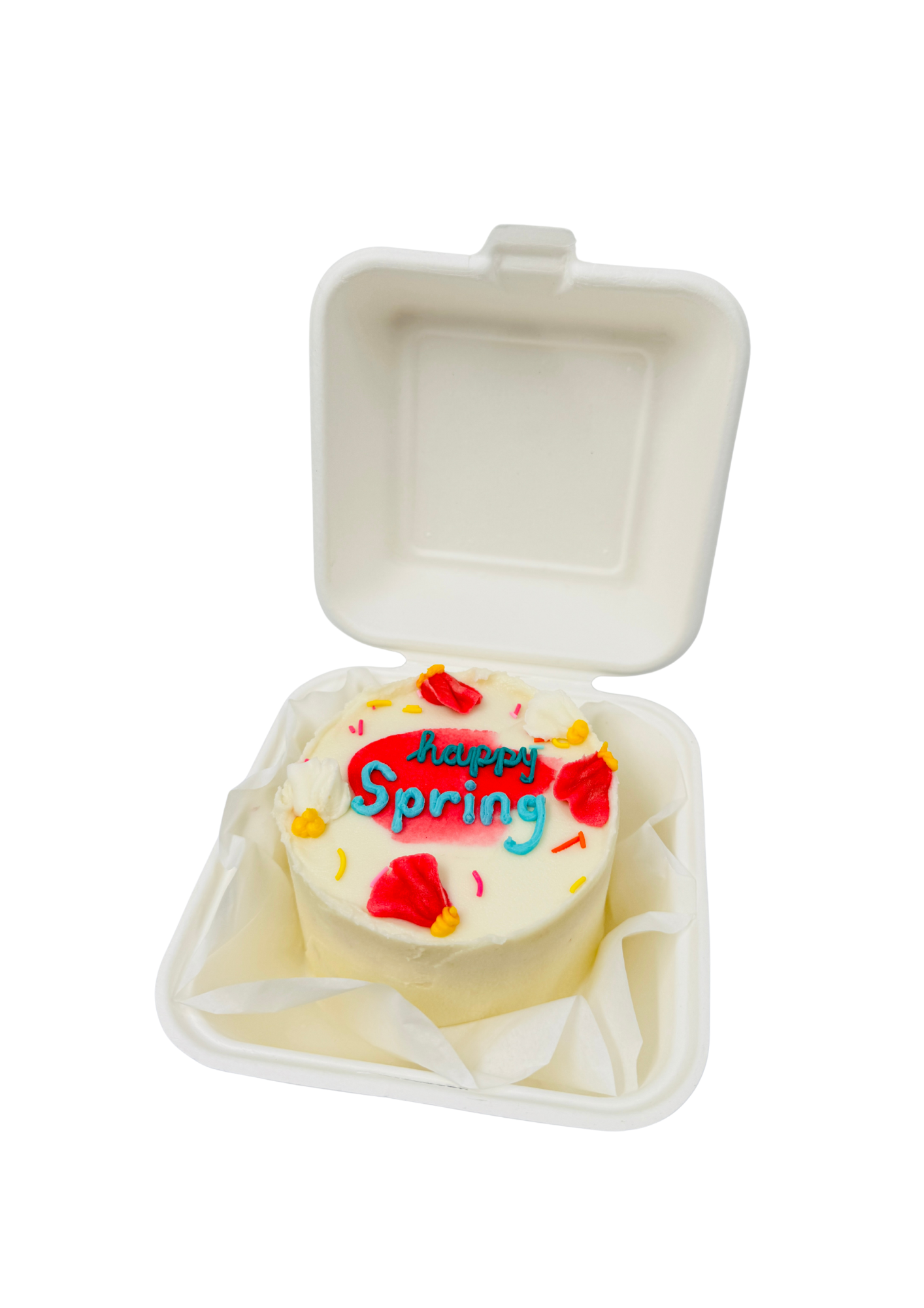 Happy Spring Bento Cake