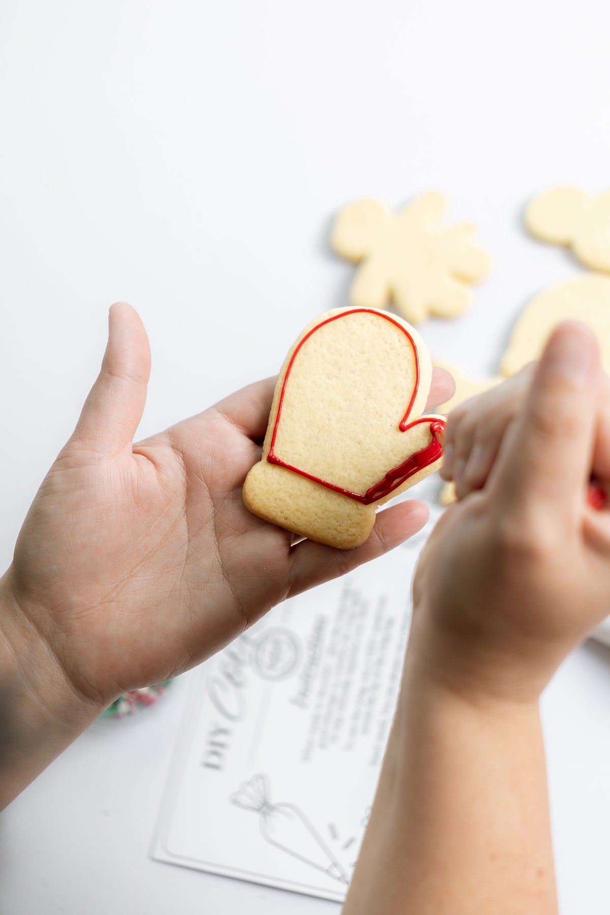 DIY Christmas Cookie kit - 6 Cookies