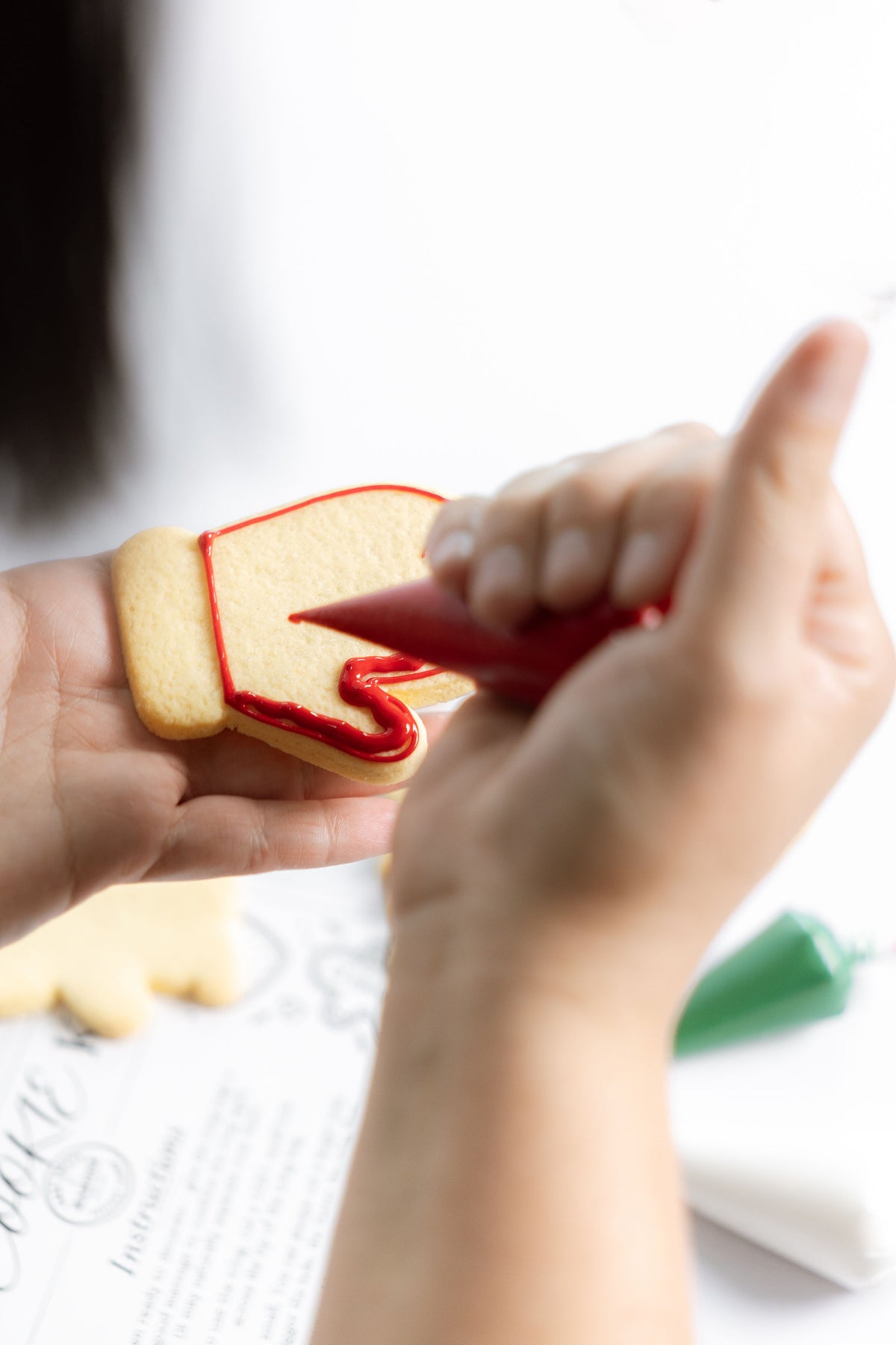 DIY Christmas Cookie kit - 6 Cookies
