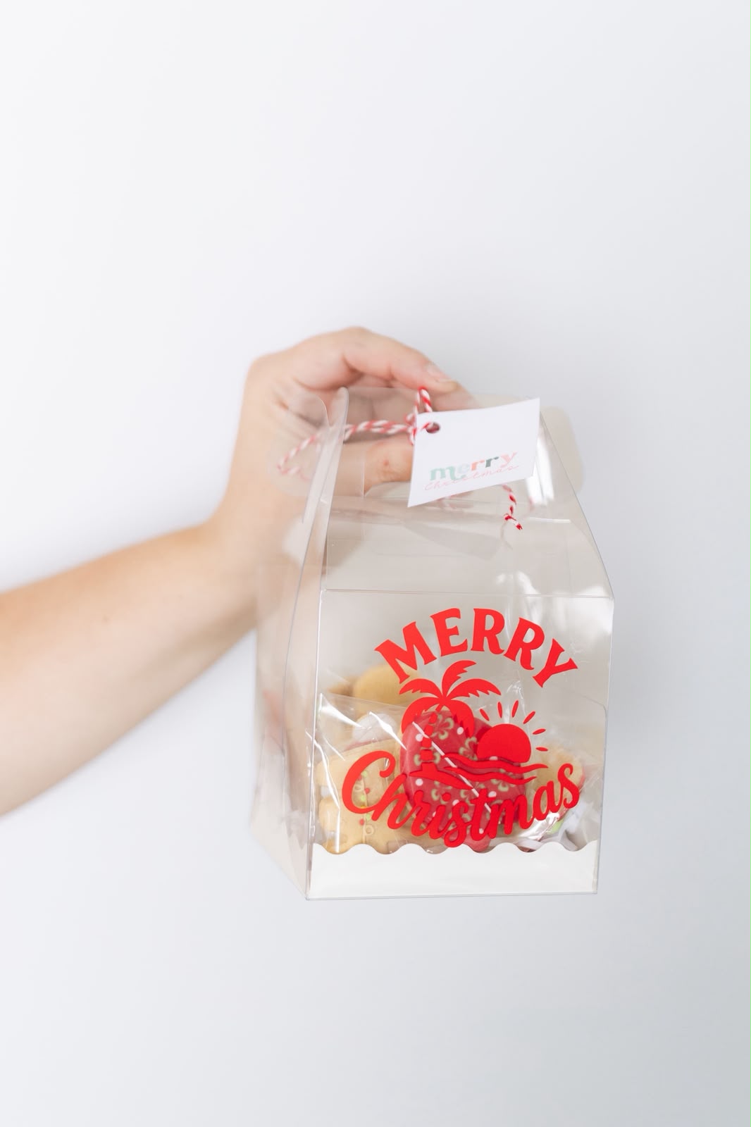 Christmas Box – 12 Mini Cookies